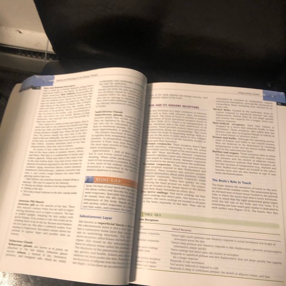 Massage Therapy: Principles and Practice by Susan Salvo Second Edition - Picture 6 of 14